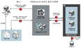 Netbackup 备份 MySQL