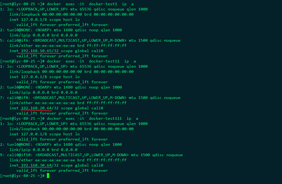 第十二节  Docker网络之Calico_IP_38