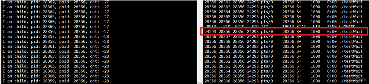 Linux-进程等待_status_10