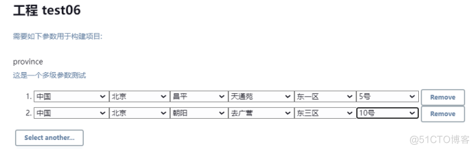 Jenkins参数化构建_安装包_79