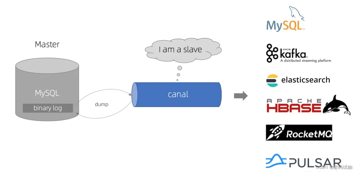 Canal集群高可用模式实战，canal1.1.6实现mysql8.0数据增量/全量同步到elasticsearch7，保姆级教程_配置文件_02