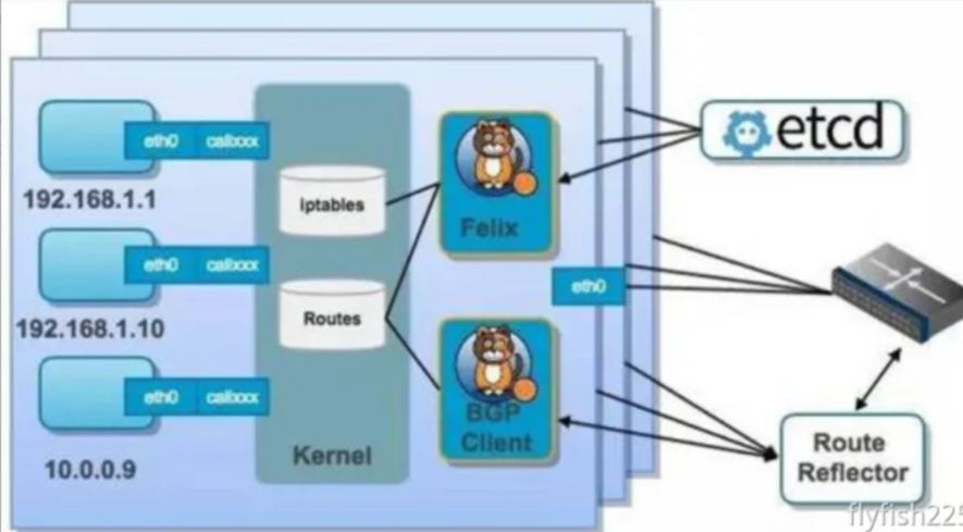 第十二节  Docker网络之Calico_docker