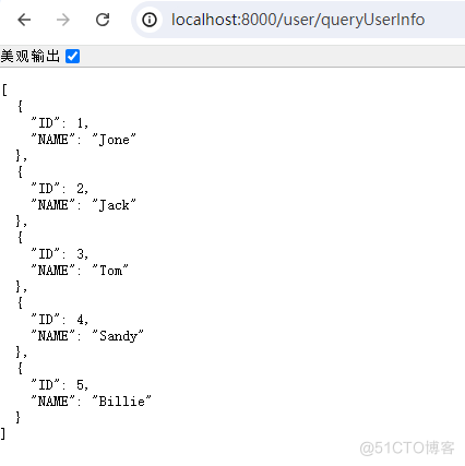 SpringBoot+druid集成YashanDB实现方案Demo_崖山数据库_07