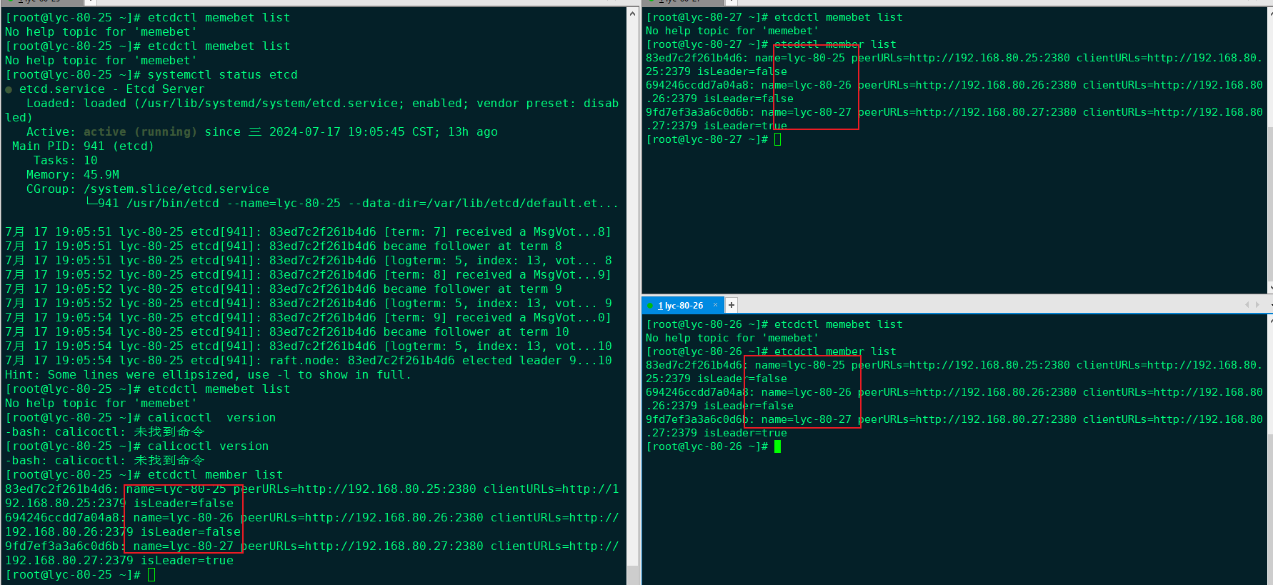 第十二节  Docker网络之Calico_ico_14