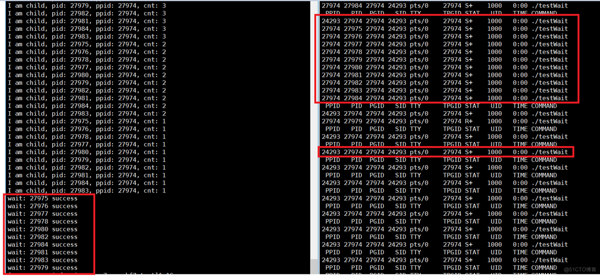 Linux-进程等待_wait函数_08