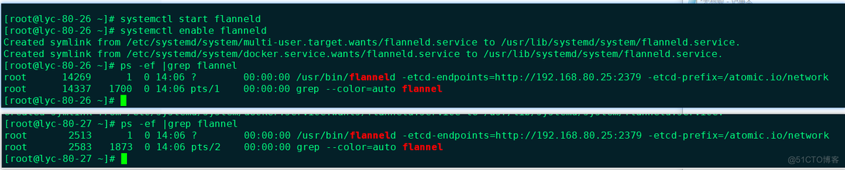 第十一节  Docker网络之flannel_vim_15