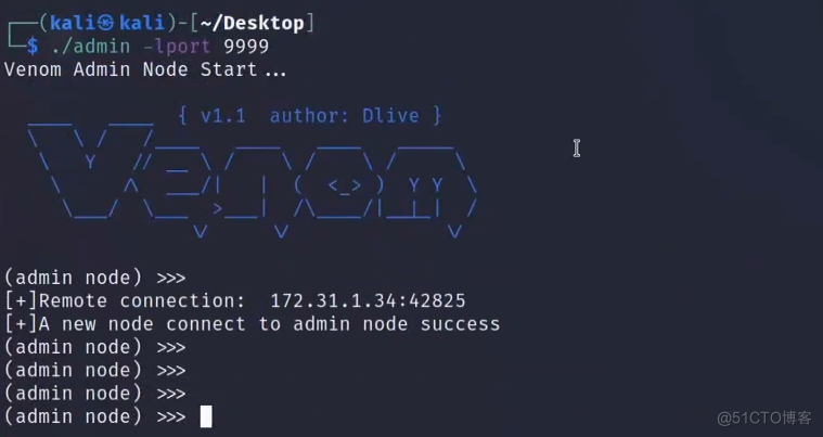 其他穿透内网的方法和工具_DNS_95