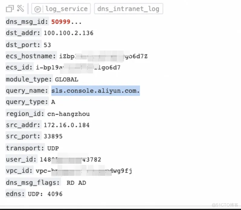 基于“日志审计应用”的 DNS 日志洞察实践_字段_05