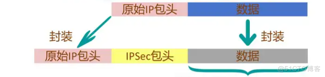 Ipsec 两种工作模式介绍_IP_02