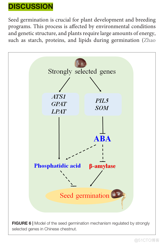 文献解读-农业-第二十九期|《β-淀粉酶和磷脂酸参与板栗种子萌发》_基因数据分析_06