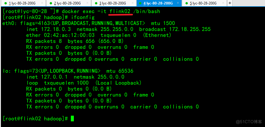 第二十五节  Docker 部署 Flink on Yarn_flink_24