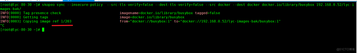 第十八节   镜像搬迁之Skopeo_docker_20