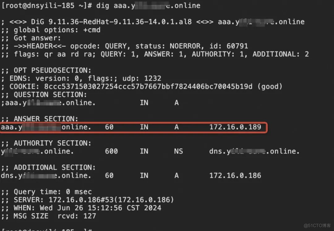 基于“日志审计应用”的 DNS 日志洞察实践_云原生_27