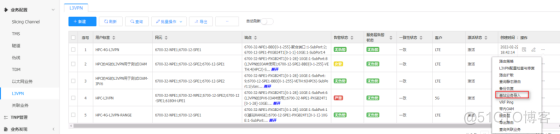 中兴SPN 网络批量增删站点_数据