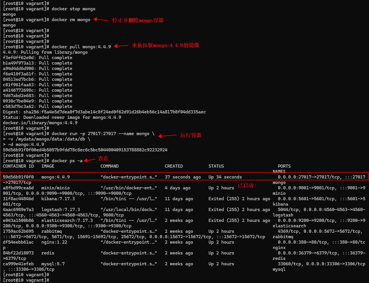 mall在linux环境下的部署（基于Docker容器），Docker安装mysql、redis、nginx、rabbitmq、elasticsearch、logstash、kibana、mongo_redis_18