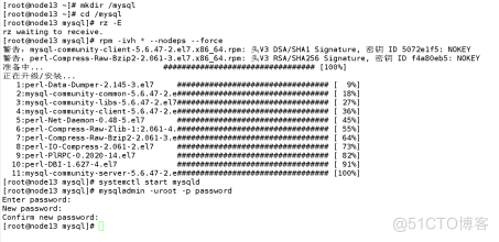 rpm安装lnmp，搭建知乎_mysql_03