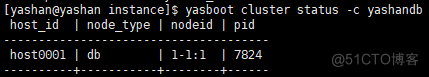【保姆级教程】CentOS7.x单机部署YashanDB数据库_国产数据库_04