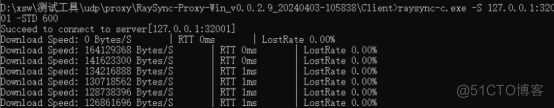 镭速测速命令行测速篇_UDP_02