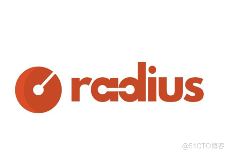 radius是怎么存储数据的_数据