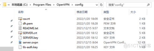 win server 2008 部署openVPN_服务器_18