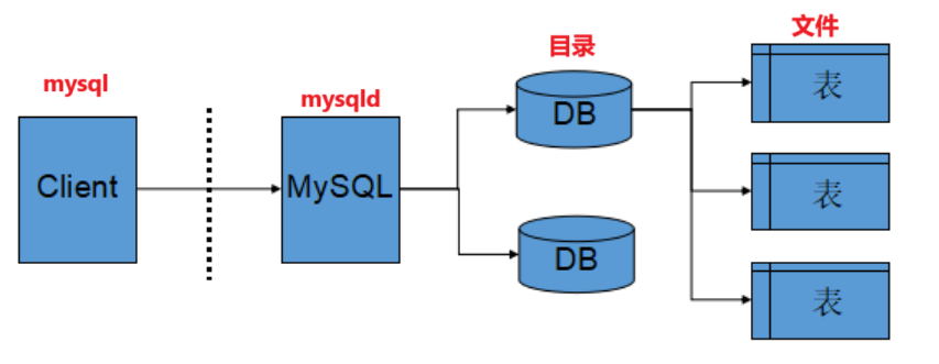 MySQL学习_约束_14