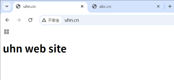 配置nginx实现基于域名的虚拟主机web服务_nginx