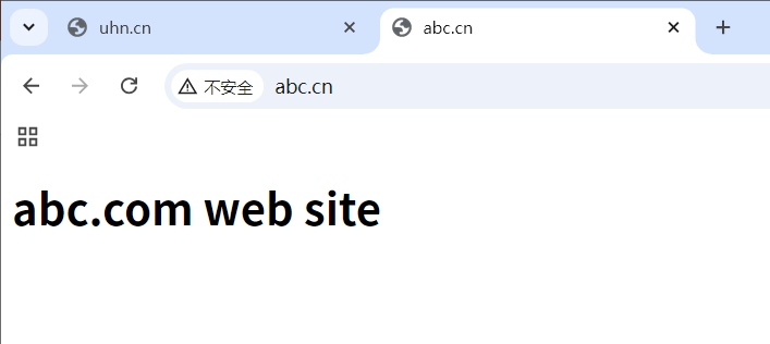 配置nginx实现基于域名的虚拟主机web服务_nginx_02