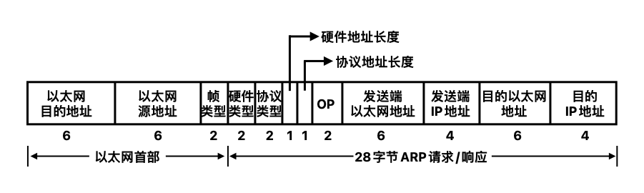 TCP/IP协议栈_网络层_IP及其相关技术_数据包的分片和组装_10