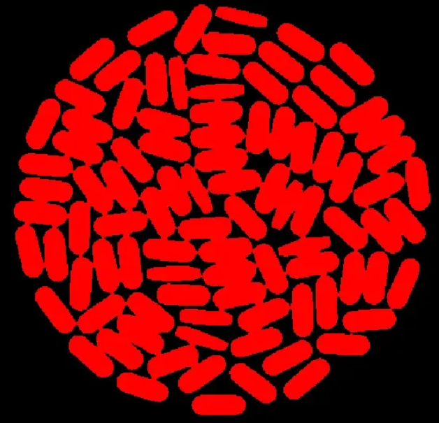 51c视觉~CV~合集4_视觉_46