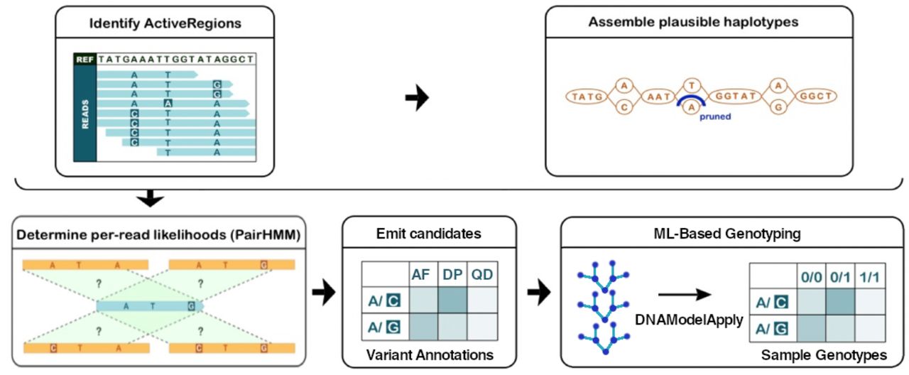 文献解读- DNAscope: High accuracy small variant calling using machine learning_DNAscope_03