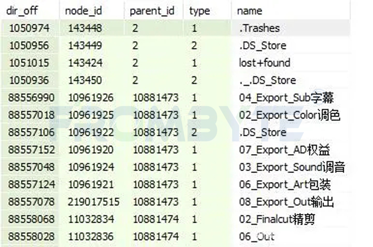 XSAN数据恢复-数据从XSAN迁移到STORNEXT过程中全部丢失的数据恢复案例_数据恢复_04