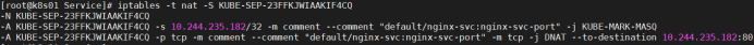 K8s四层代理Service(模型分析)_IP_15