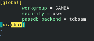 第12章使用samba或NFS实现文件共享_配置文件_02