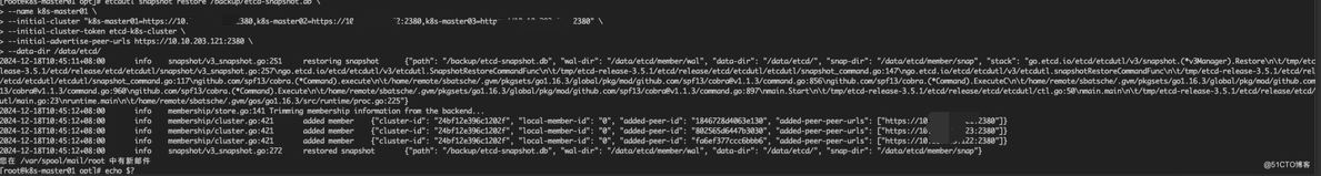 企业级Kubernetes Etcd 键值数据库备份与恢复实战_数据备份_06