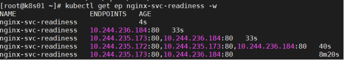 K8s四层代理Service(基础知识)_IP_23