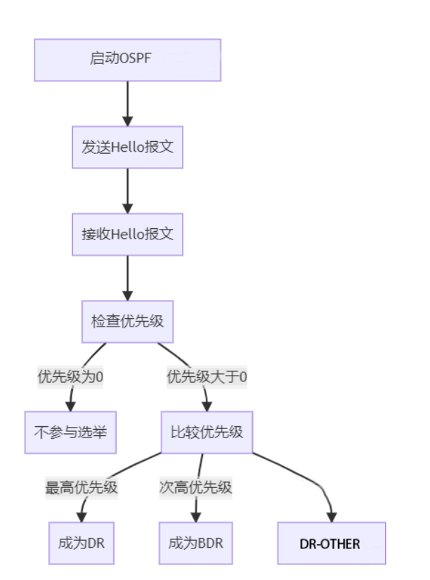 DR与BDR详解_IP