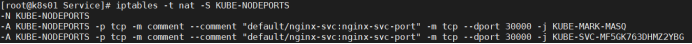 K8s四层代理Service(模型分析)_IP_13