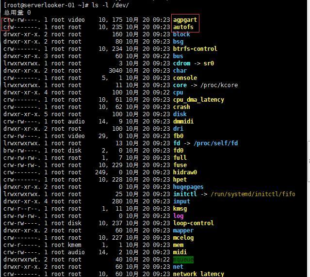 系统目录结构、ls命令、文件类型和alias命令_linux_35