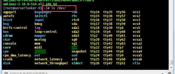 系统目录结构、ls命令、文件类型和alias命令_linux_10