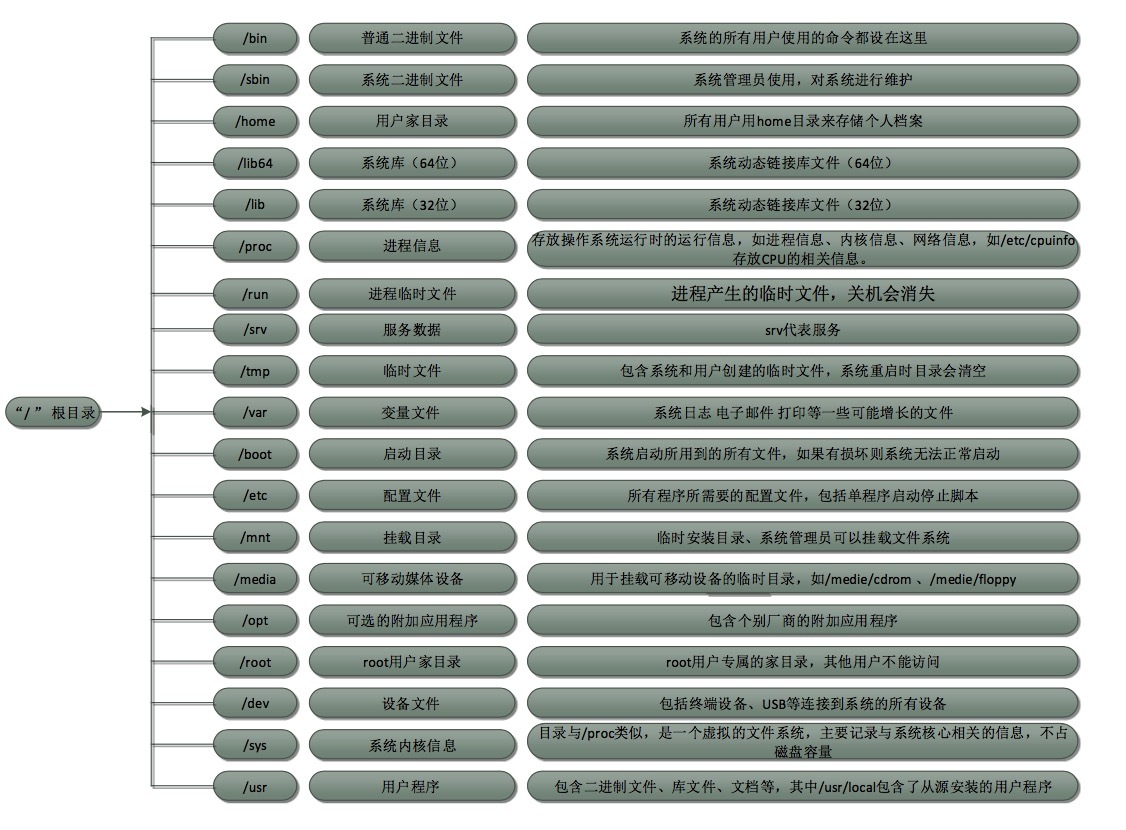 1周第5课 CentOS系统目录结构  文件类型  ls 、alias命令_CentOS_02