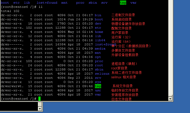  linux 系统目录结构 ls命令 文件类型 alias命令_linux 系统目录结构 ls命令 文件