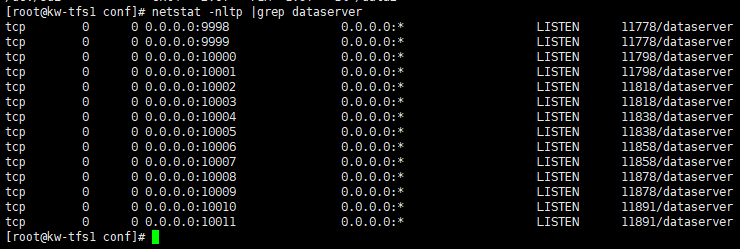 2.淘宝分布式文件系统基础配置dataserver和nameserver介绍_配置_04