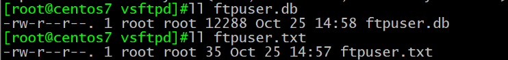 实验——基于文件验证和MYSQL验证的vsftpd虚拟用户_Linux_03