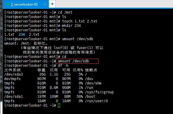  磁盘格式化 磁盘挂载,手动增加swap空间_linux_19