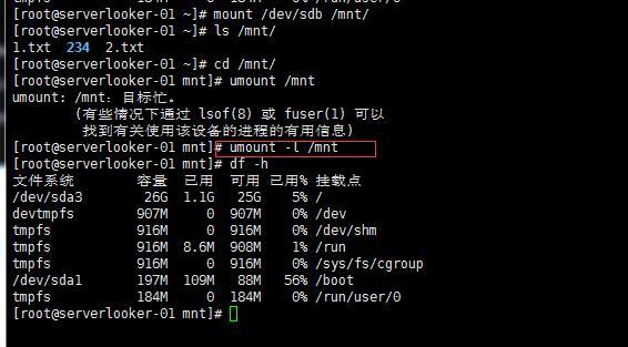  磁盘格式化 磁盘挂载,手动增加swap空间_linux_20