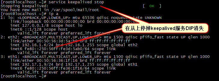 LVS-keepalived实现高可用_keepalived_09