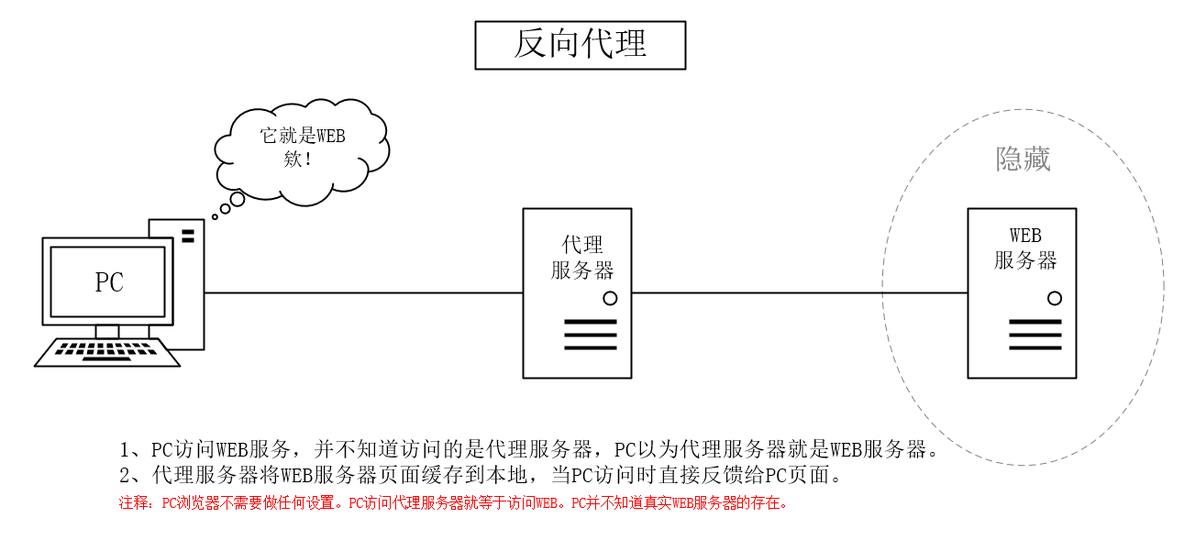 正向代理、透明代理、反向代理的理解示意图_Linux_03