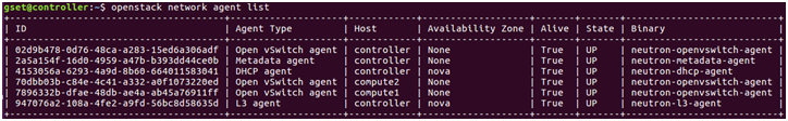 Cloud in Action: Migrate OpenStack from Linux Bridge to Open vSwitch_OpenStack Linux Brid_04