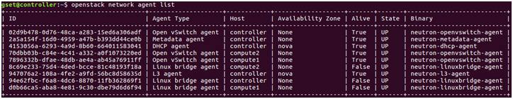 Cloud in Action: Migrate OpenStack from Linux Bridge to Open vSwitch_OpenStack Linux Brid_03