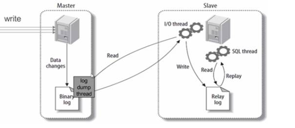 MySQL主从介绍、准备工作、配置主、配置从、测试主从同步、断电后恢复主从_mysql